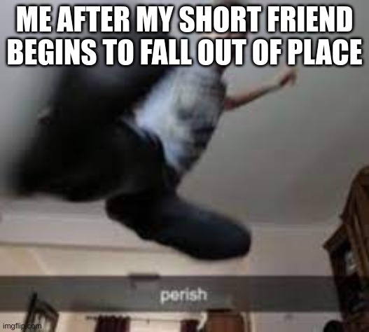 fallin out of place | ME AFTER MY SHORT FRIEND BEGINS TO FALL OUT OF PLACE | image tagged in perish kick,funny because it's true | made w/ Imgflip meme maker