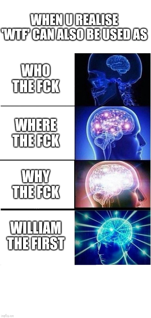 when u realise wft... | WHEN U REALISE 'WTF' CAN ALSO BE USED AS; WHO THE FCK; WHERE THE FCK; WHY THE FCK; WILLIAM THE FIRST | image tagged in william the first,expanding brain,fun,wtf,when u realise,funny memes | made w/ Imgflip meme maker