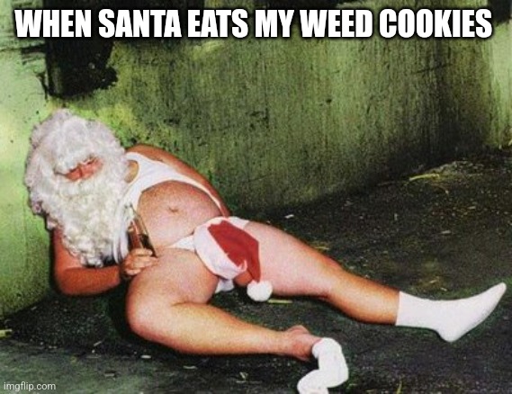 Drunk santa  | WHEN SANTA EATS MY WEED COOKIES | image tagged in drunk santa | made w/ Imgflip meme maker