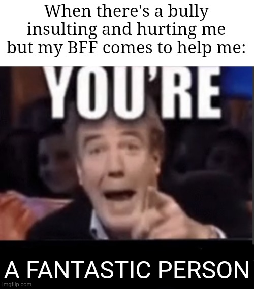 W best friend :) | When there's a bully insulting and hurting me but my BFF comes to help me:; A FANTASTIC PERSON | image tagged in you're x blank,memes,friends,bullying,relatable memes,funny | made w/ Imgflip meme maker