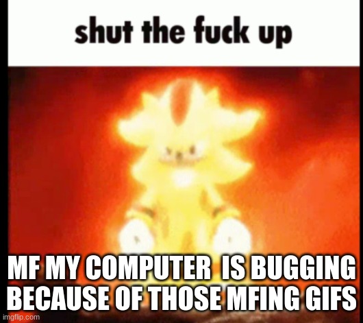 super shadow stfu | MF MY COMPUTER  IS BUGGING BECAUSE OF THOSE MFING GIFS | image tagged in super shadow stfu | made w/ Imgflip meme maker