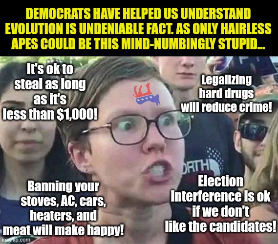 Democrats have really dug their heels into the stupid this year. Maybe we do live on the planet of the apes? | DEMOCRATS HAVE HELPED US UNDERSTAND EVOLUTION IS UNDENIABLE FACT. AS ONLY HAIRLESS APES COULD BE THIS MIND-NUMBINGLY STUPID... Legalizing hard drugs will reduce crime! It's ok to steal as long as it's less than $1,000! Banning your stoves, AC, cars, heaters, and meat will make happy! Election interference is ok if we don't like the candidates! | image tagged in triggered liberal,planet of the apes,stupid people,evolution,expectation vs reality,liberals | made w/ Imgflip meme maker