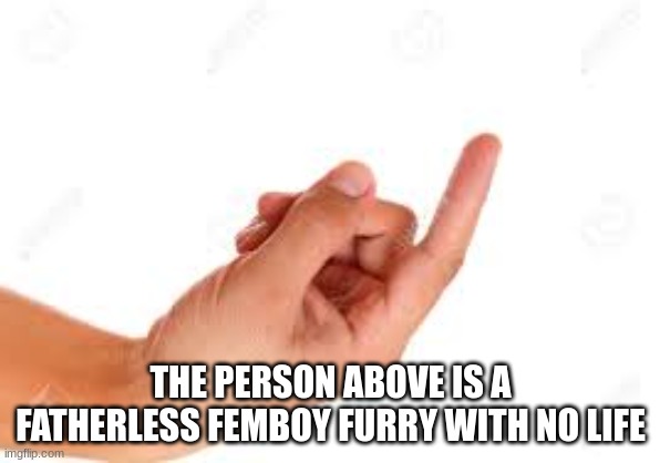 the person below | THE PERSON ABOVE IS A FATHERLESS FEMBOY FURRY WITH NO LIFE | image tagged in the person below | made w/ Imgflip meme maker
