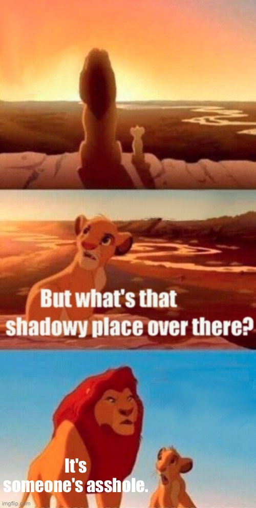 wow | It's someone's asshole. | image tagged in memes,simba shadowy place | made w/ Imgflip meme maker