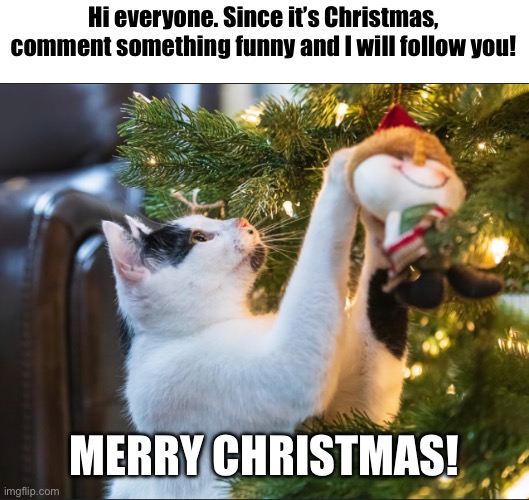 Comment something funny! | Hi everyone. Since it’s Christmas, comment something funny and I will follow you! MERRY CHRISTMAS! | image tagged in cats,tree | made w/ Imgflip meme maker