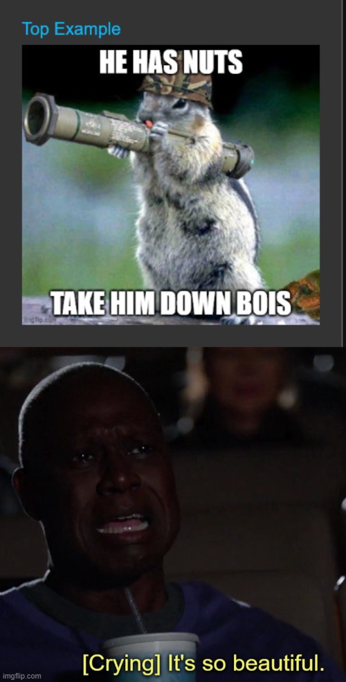 I can't believe my meme made a top example...YASS!! | image tagged in holt looks at something beautiful,bazooka squirrel | made w/ Imgflip meme maker