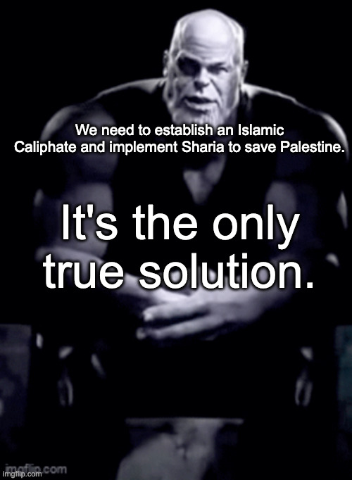 thanos explaining himself | We need to establish an Islamic Caliphate and implement Sharia to save Palestine. It's the only true solution. | image tagged in thanos explaining himself | made w/ Imgflip meme maker