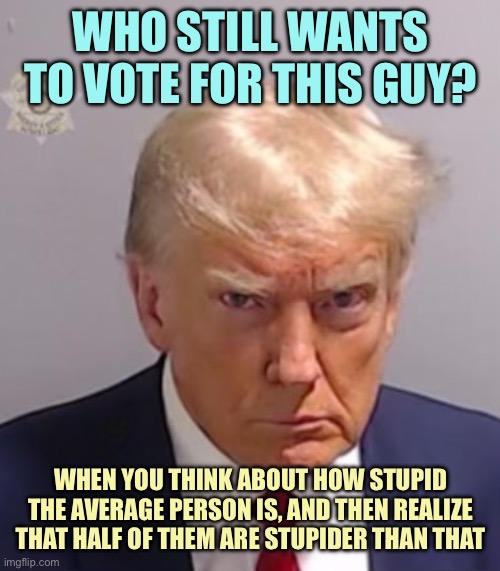 Donald Trump Mugshot | WHO STILL WANTS TO VOTE FOR THIS GUY? WHEN YOU THINK ABOUT HOW STUPID THE AVERAGE PERSON IS, AND THEN REALIZE THAT HALF OF THEM ARE STUPIDER THAN THAT | image tagged in donald trump mugshot,memes | made w/ Imgflip meme maker