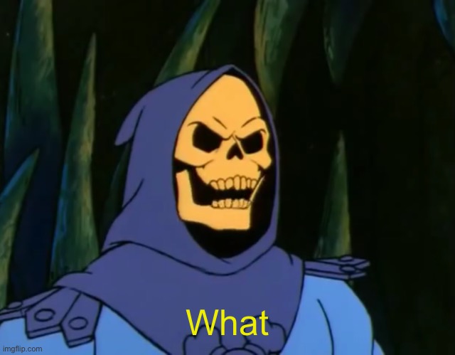 Skeletor WAT? | What | image tagged in skeletor wat | made w/ Imgflip meme maker