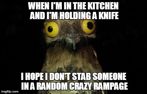 Weird Stuff I Do Potoo Meme | WHEN I'M IN THE KITCHEN AND I'M HOLDING A KNIFE I HOPE I DON'T STAB SOMEONE IN A RANDOM CRAZY RAMPAGE | image tagged in crazy eyed bird,AdviceAnimals | made w/ Imgflip meme maker