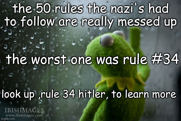 kermit window | the 50 rules the nazi's had to follow are really messed up; the worst one was rule #34; look up ,rule 34 hitler, to learn more | image tagged in kermit window | made w/ Imgflip meme maker