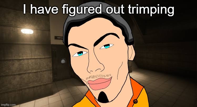 the D | I have figured out trimping | image tagged in the d | made w/ Imgflip meme maker