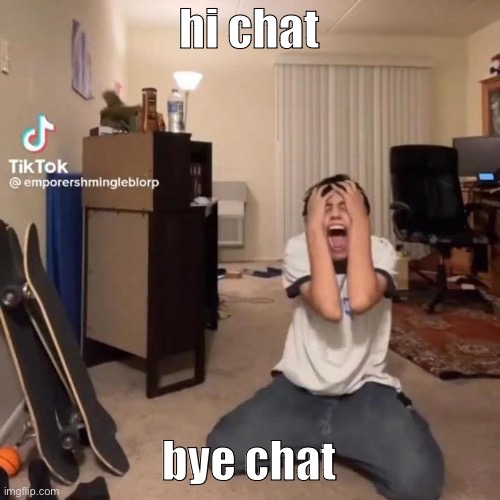 lol what’s the 3 questions thing abt is it a new update | hi chat; bye chat | image tagged in me rn | made w/ Imgflip meme maker