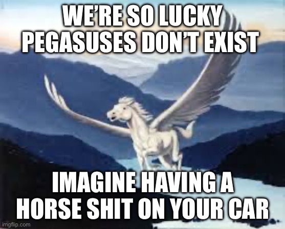 Poop | WE’RE SO LUCKY PEGASUSES DON’T EXIST; IMAGINE HAVING A HORSE SHIT ON YOUR CAR | image tagged in pegasus | made w/ Imgflip meme maker