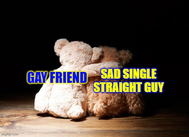 a tribute for LGBTQ cause you are all kind person! | GAY FRIEND; SAD SINGLE STRAIGHT GUY | image tagged in bear hugs | made w/ Imgflip meme maker