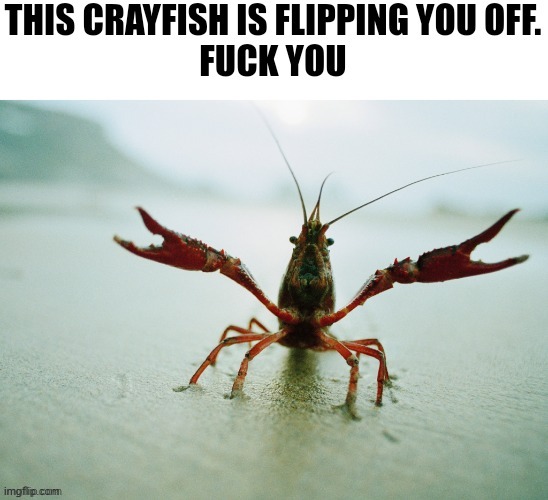 image tagged in crayfish flips you off | made w/ Imgflip meme maker
