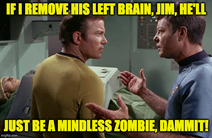 IF I REMOVE HIS LEFT BRAIN, JIM, HE'LL JUST BE A MINDLESS ZOMBIE, DAMMIT! | made w/ Imgflip meme maker