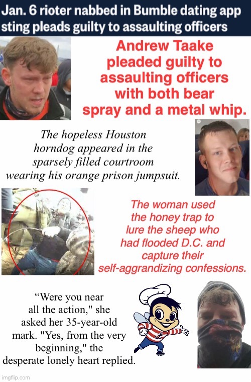 Horny In Houston | image tagged in assault,domestic terrorist,sheep,losers losing,tuff guy when in a crowd using metal whip | made w/ Imgflip meme maker