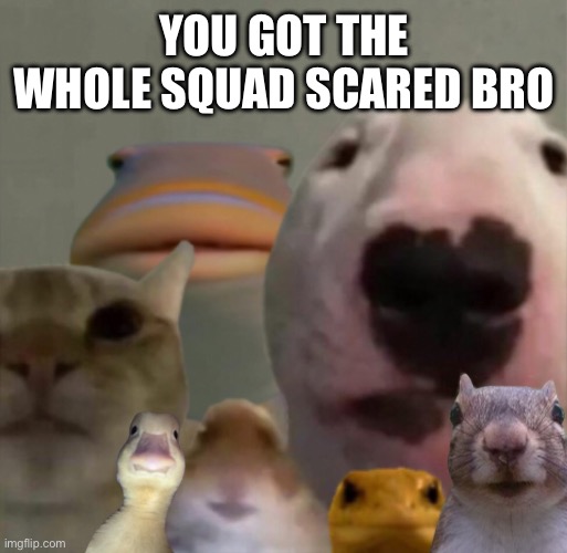 YOU GOT THE WHOLE SQUAD SCARED BRO | image tagged in the council remastered | made w/ Imgflip meme maker