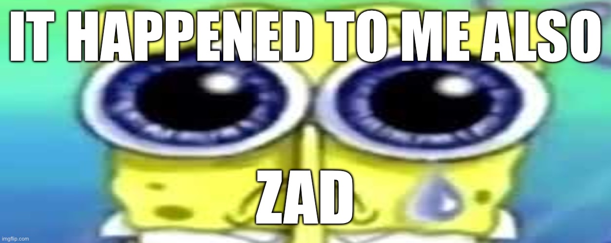 Sad Spong | IT HAPPENED TO ME ALSO ZAD | image tagged in sad spong | made w/ Imgflip meme maker