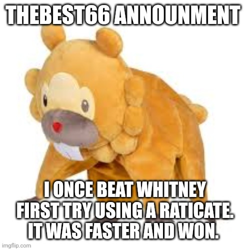 That stupid cow | I ONCE BEAT WHITNEY FIRST TRY USING A RATICATE. IT WAS FASTER AND WON. | image tagged in please don't use | made w/ Imgflip meme maker