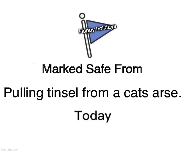 Marked Safe From | Happy holidays; Pulling tinsel from a cats arse. | image tagged in memes,marked safe from | made w/ Imgflip meme maker