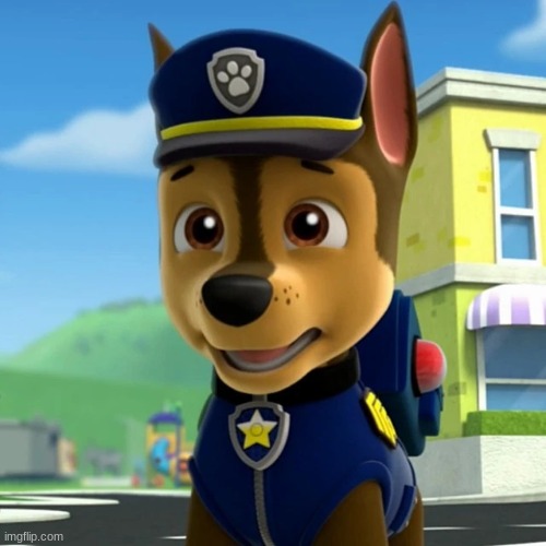 PAW Patrol: Chase Shocked/Scared(?) | image tagged in paw patrol chase shocked/scared | made w/ Imgflip meme maker