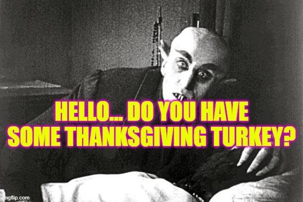 nosferatu in the 21st century | HELLO... DO YOU HAVE SOME THANKSGIVING TURKEY? | image tagged in nosferatu in the 21st century | made w/ Imgflip meme maker
