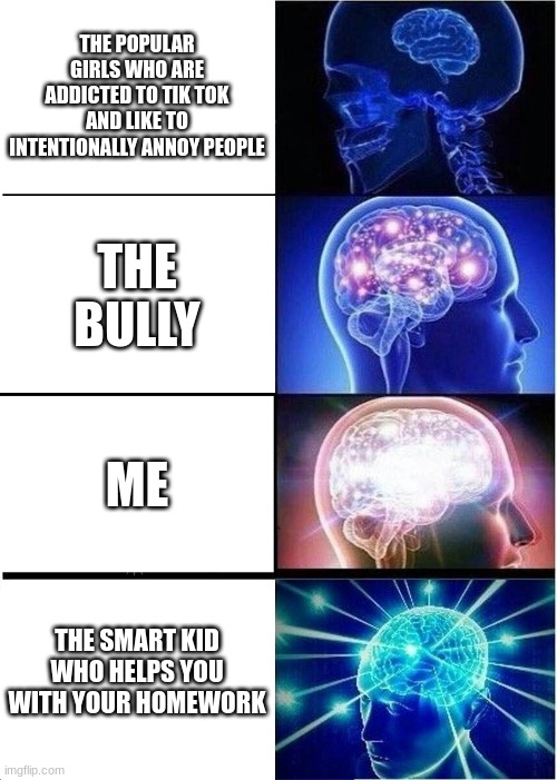 people in school be like | THE POPULAR GIRLS WHO ARE ADDICTED TO TIK TOK AND LIKE TO INTENTIONALLY ANNOY PEOPLE; THE BULLY; ME; THE SMART KID WHO HELPS YOU WITH YOUR HOMEWORK | image tagged in memes,expanding brain | made w/ Imgflip meme maker