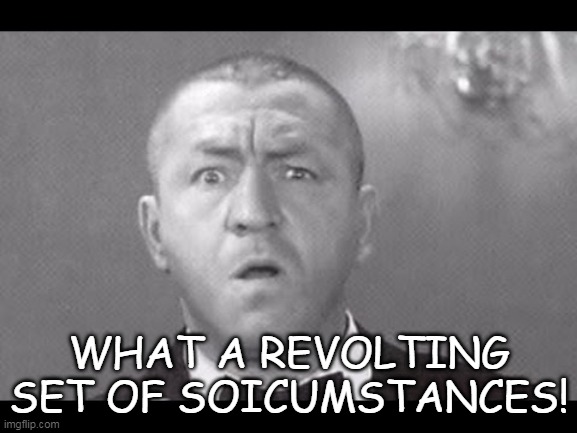 Curly Revolting | WHAT A REVOLTING SET OF SOICUMSTANCES! | image tagged in three stooges,curly | made w/ Imgflip meme maker