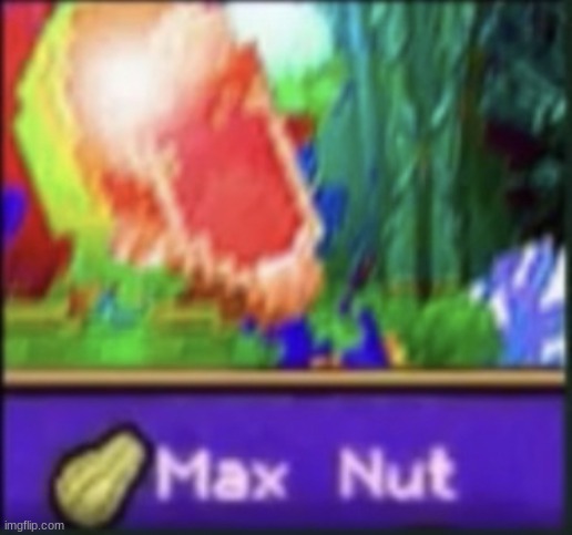 Max nut | image tagged in max nut | made w/ Imgflip meme maker