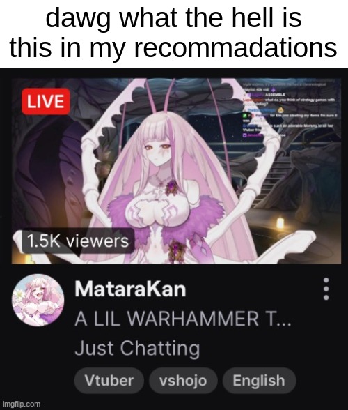 dawg what the hell is this in my recommadations | made w/ Imgflip meme maker