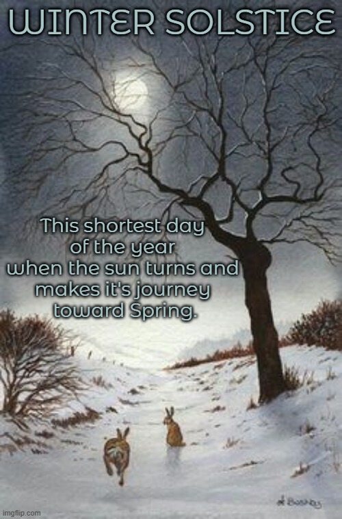 WINTER SOLSTICE; This shortest day 
of the year 
when the sun turns and 
makes it's journey 
toward Spring. | made w/ Imgflip meme maker