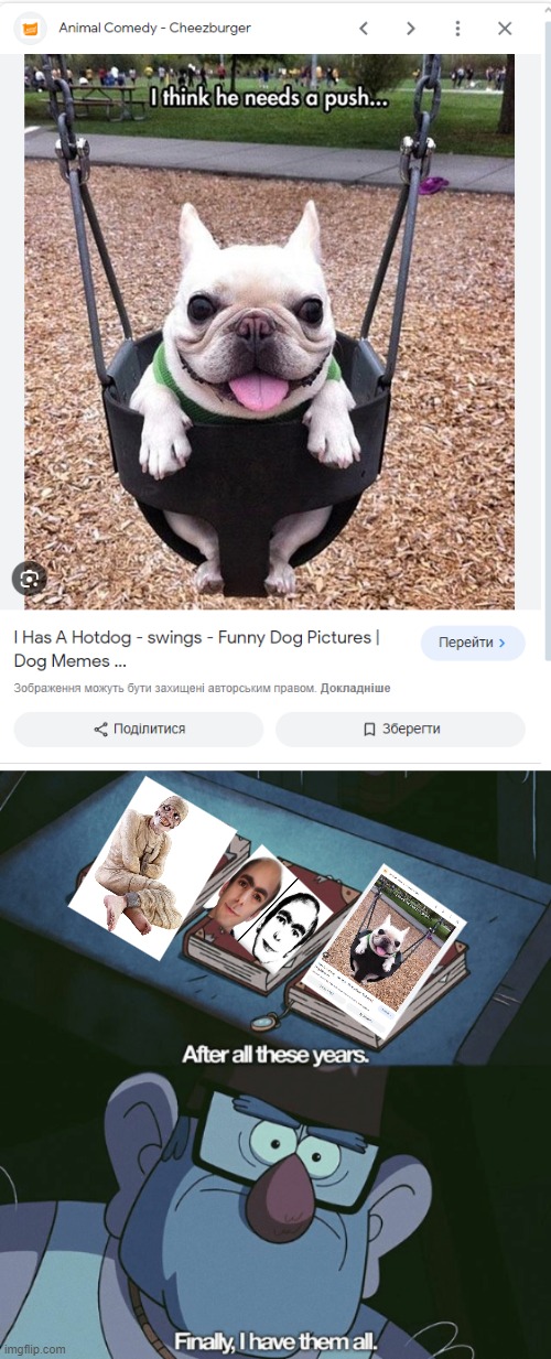 THE DOG ON A SWING, THIS MAN AND RUSSIAN SLEEP EXPERIMENT, I FOUND THEM ALL IRL! | image tagged in finally i found them all | made w/ Imgflip meme maker