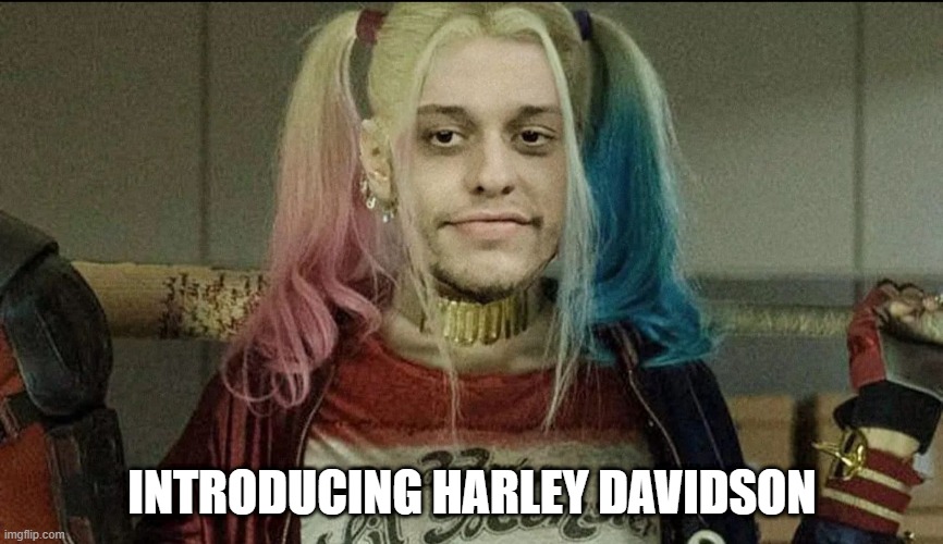 Harley Davidson | INTRODUCING HARLEY DAVIDSON | image tagged in harley quinn | made w/ Imgflip meme maker