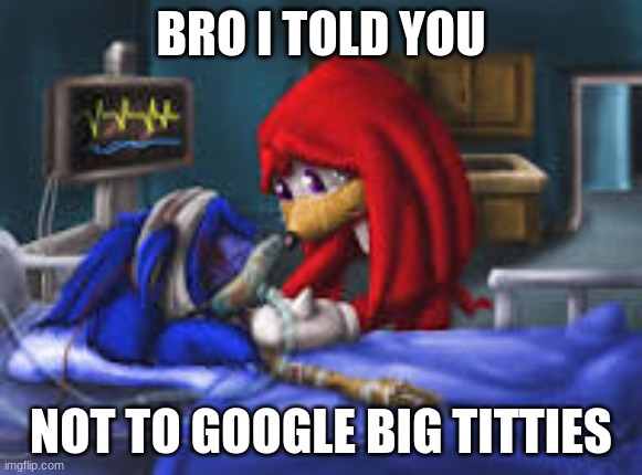 sonic i told you | BRO I TOLD YOU; NOT TO GOOGLE BIG TITTIES | image tagged in sonic i told you | made w/ Imgflip meme maker