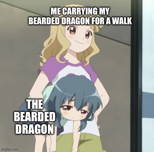 Pet Thing | ME CARRYING MY BEARDED DRAGON FOR A WALK; THE BEARDED DRAGON | image tagged in anime carry | made w/ Imgflip meme maker