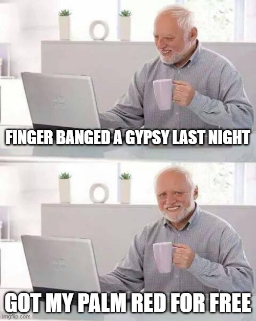Gypsy | FINGER BANGED A GYPSY LAST NIGHT; GOT MY PALM RED FOR FREE | image tagged in memes,hide the pain harold | made w/ Imgflip meme maker