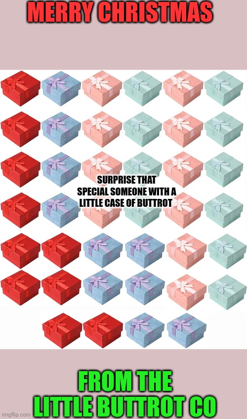 Little Buttrot Co. | MERRY CHRISTMAS; SURPRISE THAT SPECIAL SOMEONE WITH A LITTLE CASE OF BUTTROT; FROM THE LITTLE BUTTROT CO | image tagged in funny memes | made w/ Imgflip meme maker