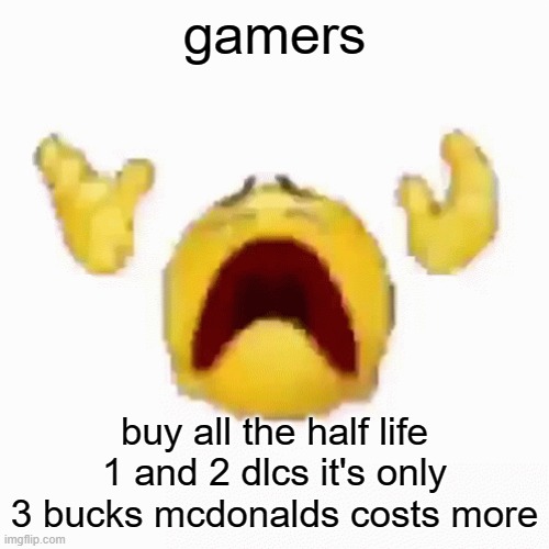 :nooo: | gamers; buy all the half life 1 and 2 dlcs it's only 3 bucks mcdonalds costs more | image tagged in nooo | made w/ Imgflip meme maker
