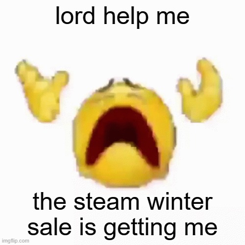 i have like 5 items in my cart | lord help me; the steam winter sale is getting me | image tagged in nooo | made w/ Imgflip meme maker