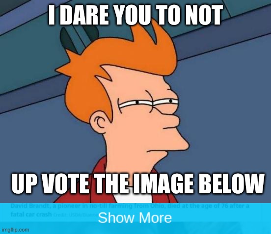 I dare you | I DARE YOU TO NOT; UP VOTE THE IMAGE BELOW | image tagged in memes,futurama fry,fake show more | made w/ Imgflip meme maker