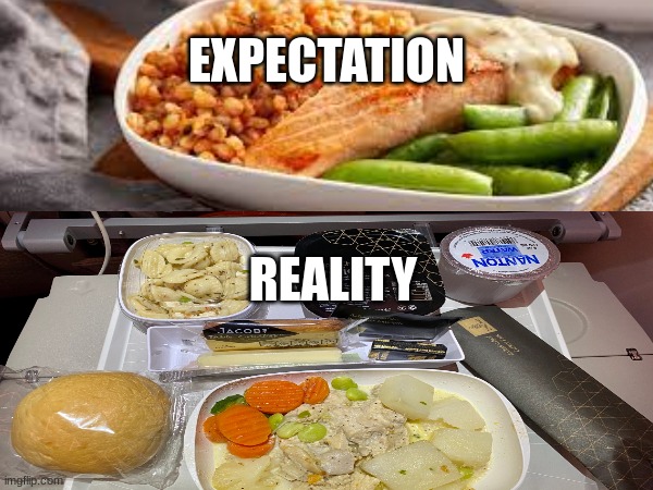 Airplane Food Expectation Vs Reality | EXPECTATION; REALITY | image tagged in funny,airplane,food | made w/ Imgflip meme maker