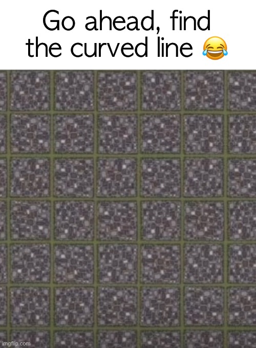 Optical illusion time XD | Go ahead, find the curved line 😂 | image tagged in trippy,optical illusion,weird,lol | made w/ Imgflip meme maker
