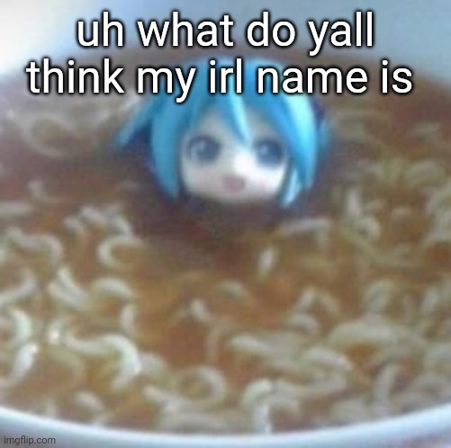 noodles miku | uh what do yall think my irl name is | image tagged in noodles miku | made w/ Imgflip meme maker