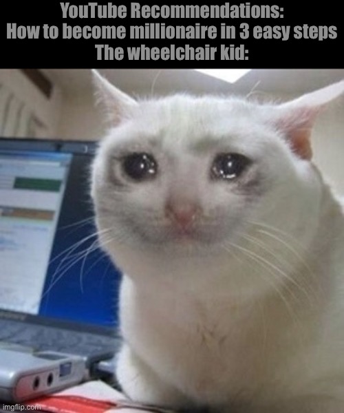 Crying cat | YouTube Recommendations: How to become millionaire in 3 easy steps
The wheelchair kid: | image tagged in crying cat | made w/ Imgflip meme maker
