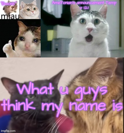 TO WHOEVER KNOWS IT ALREADY, DONT SPOIL IT CUZ I DONT WANT ANYONE ELSE KNOWING, I JUST WANNA SEE | What u guys think my name is | image tagged in ametonian's announcement temp v 1 2 1 | made w/ Imgflip meme maker