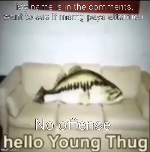 Hello Young Thug | My name is in the comments, want to see if msmg pays attention; No offense | image tagged in hello young thug | made w/ Imgflip meme maker