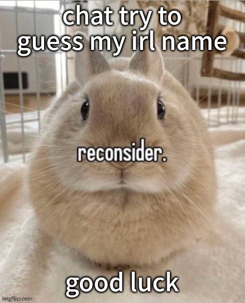 reconsider | chat try to guess my irl name; good luck | image tagged in reconsider | made w/ Imgflip meme maker