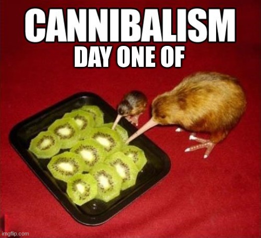 day one of caniball kiwi | DAY ONE OF | image tagged in kiwi | made w/ Imgflip meme maker